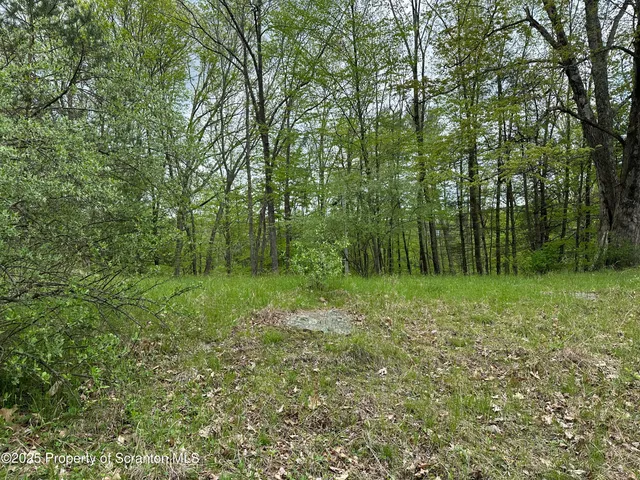 a view of outdoor space and green space