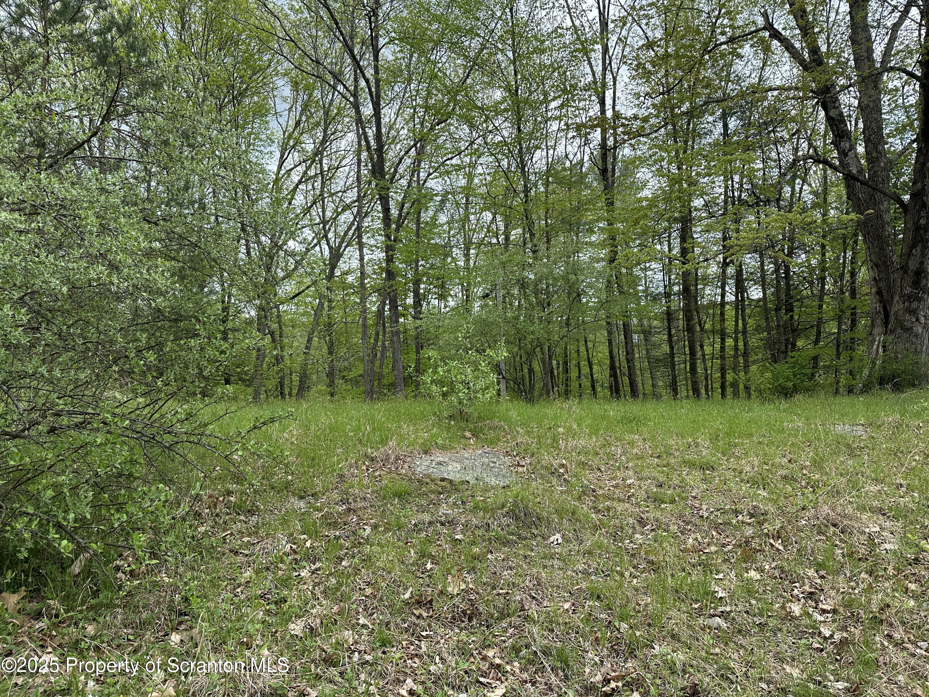 1 River Road Damascus, PA 18415 - Photo 14 of 17 a view of outdoor space and green space