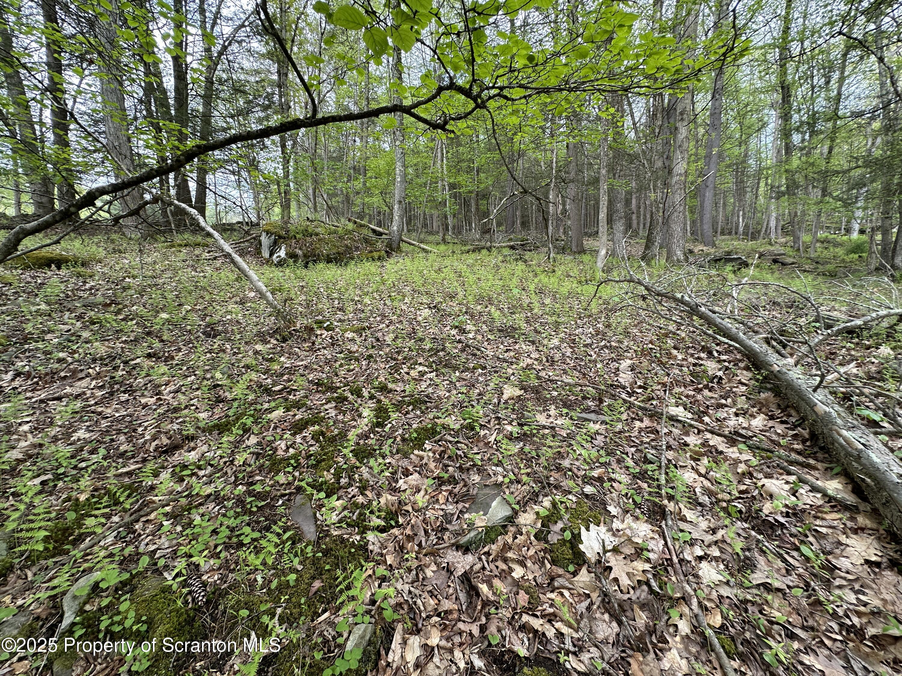 1 River Road Damascus, PA 18415 - Photo 4 of 17 a backyard of a house with lots of green space