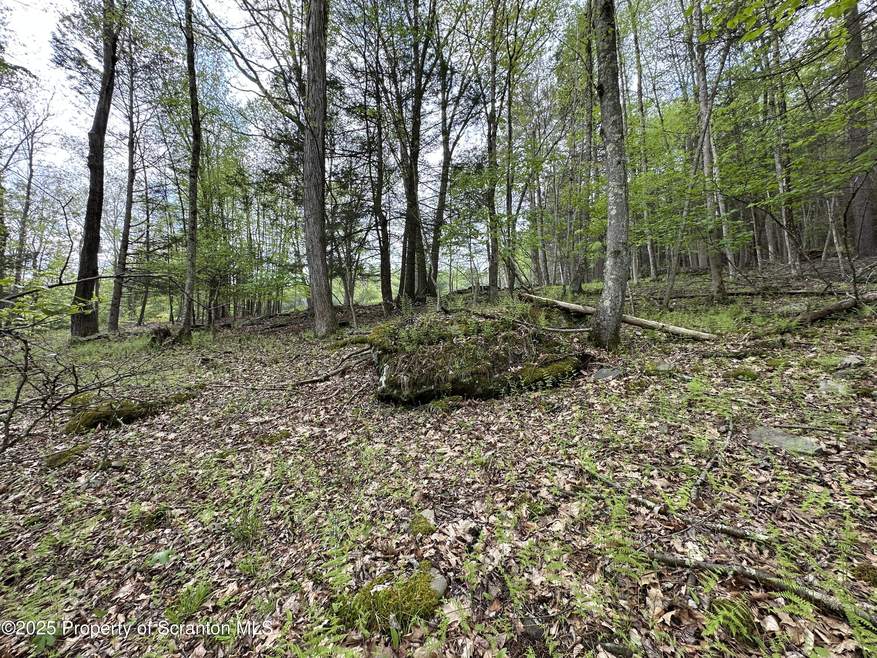 1 River Road Damascus, PA 18415 - Photo 5 of 17 a backyard of a house with lots of green space