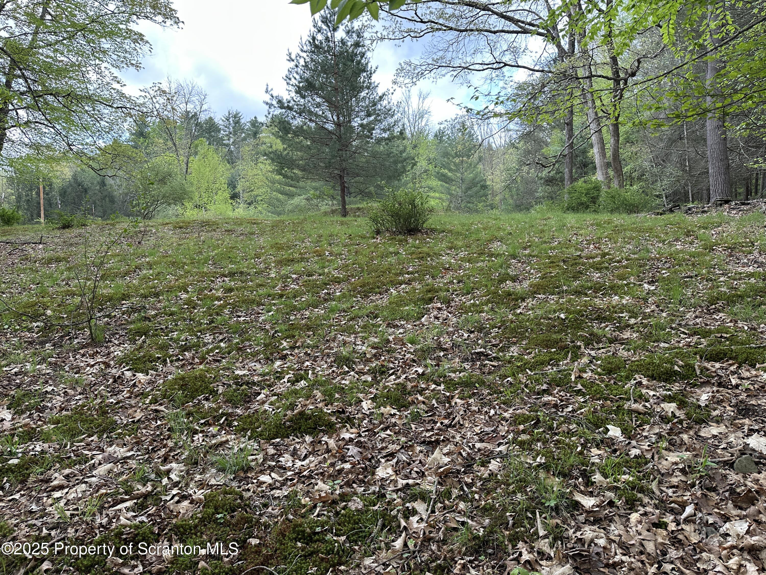 1 River Road Damascus, PA 18415 - Photo 7 of 17 a view of a lush green space