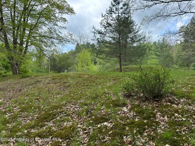 a big yard with lots of green space and deers
