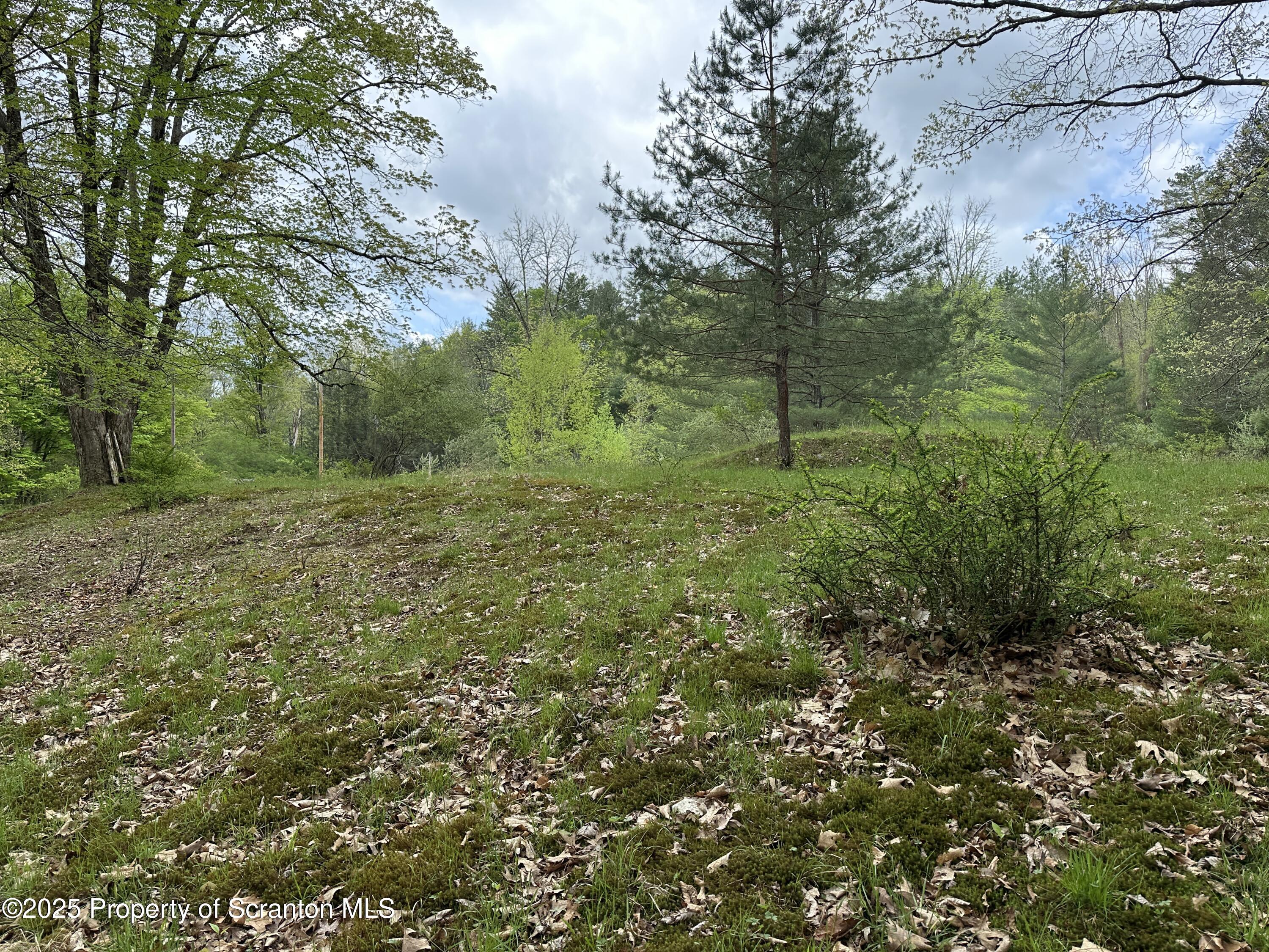1 River Road Damascus, PA 18415 - Photo 8 of 17 a big yard with lots of green space and deers
