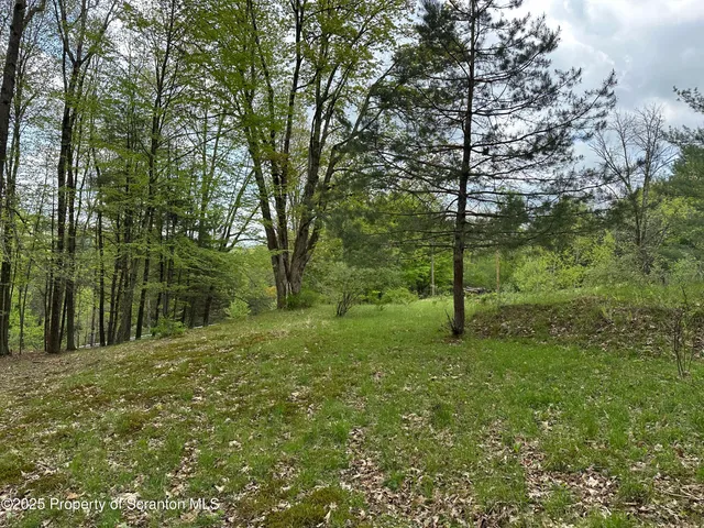 a large yard with lots of green space and house in the back