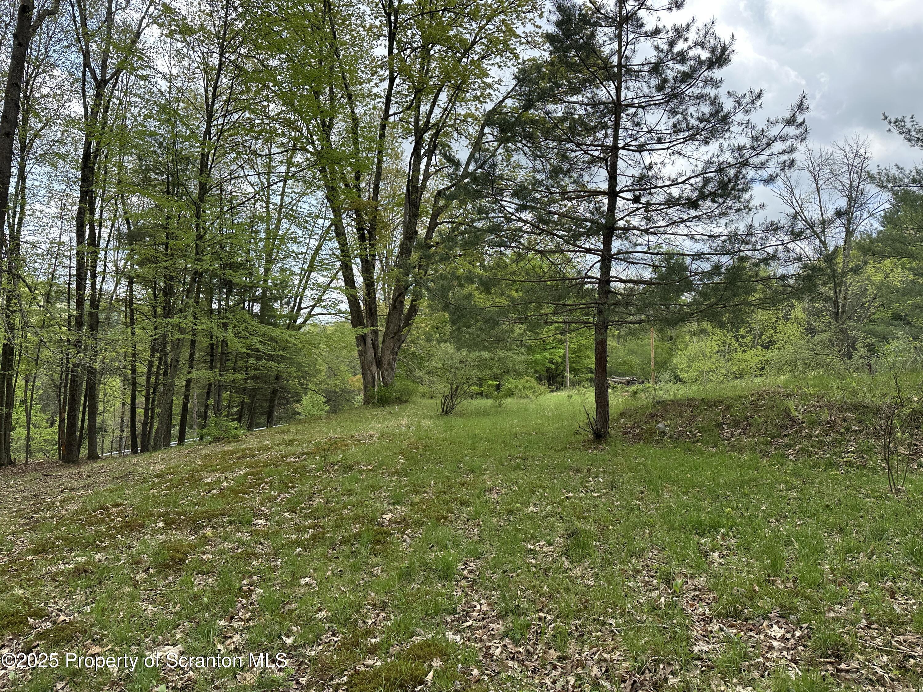 1 River Road Damascus, PA 18415 - Photo 10 of 17 a large yard with lots of green space and house in the back