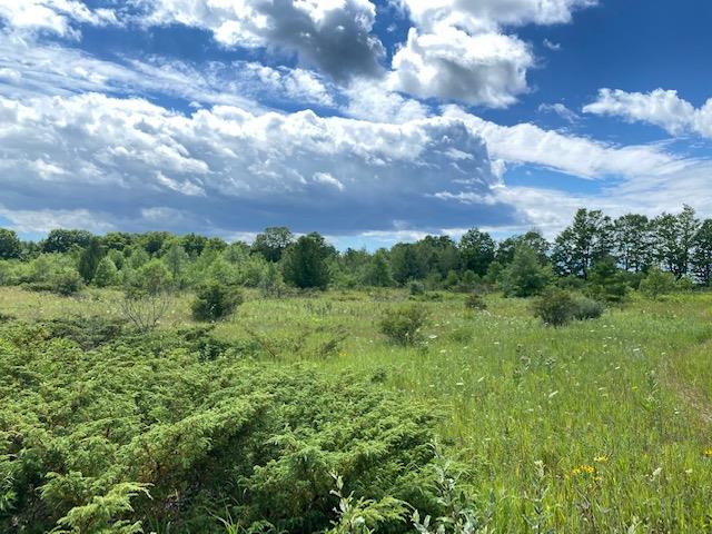 Wild Nest Road Fish Creek, WI 54212 - Photo 1 of 13