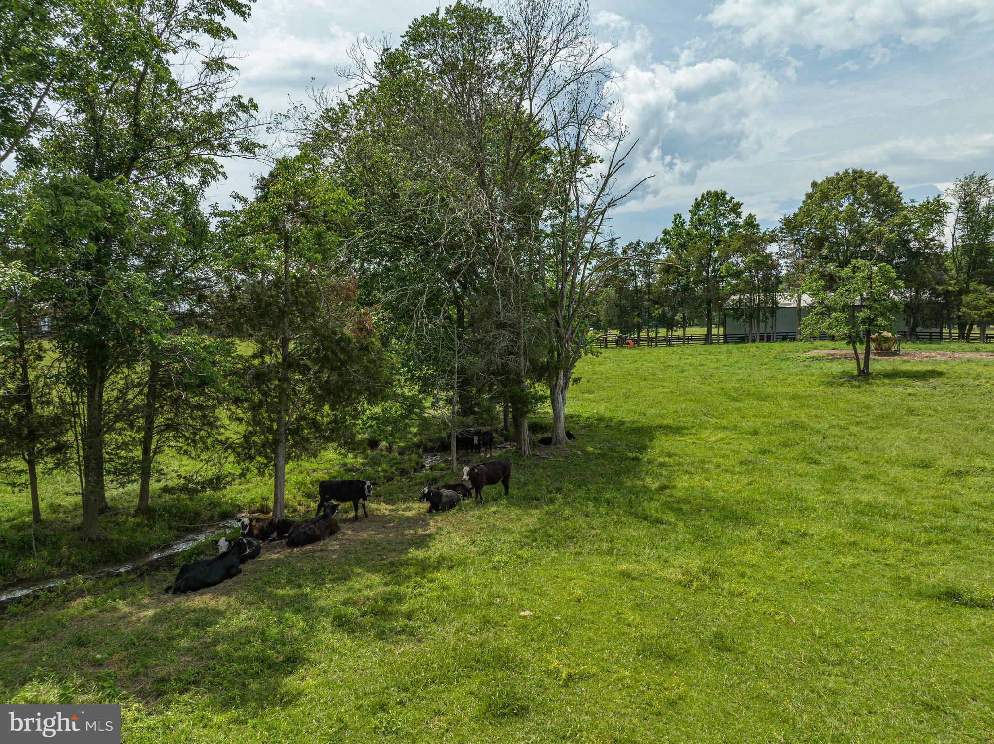 6305 Governor Almond Road Locust Grove, VA 22508 - Photo 49 of 70