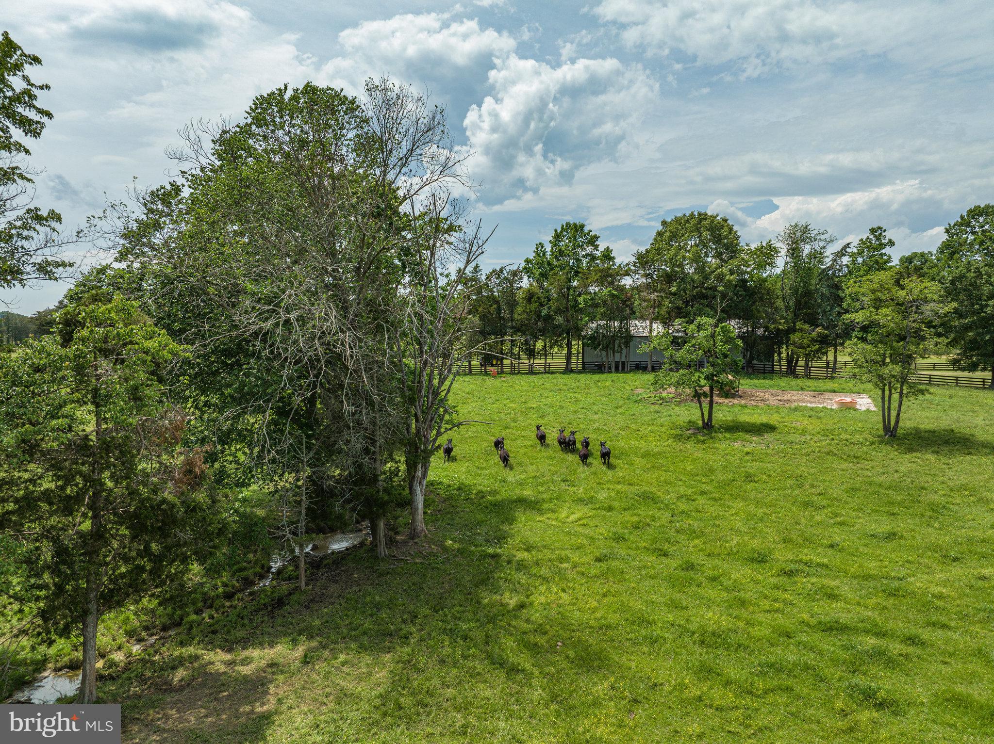 6305 Governor Almond Road Locust Grove, VA 22508 - Photo 50 of 70