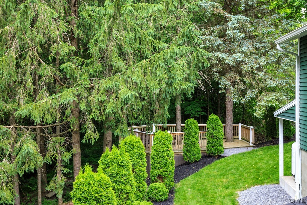 1399 Berry Road Fabius, NY 13084 - Photo 31 of 49 Another secluded deck overlooking meandering strea