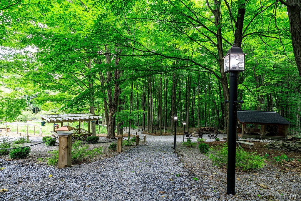 1399 Berry Road Fabius, NY 13084 - Photo 34 of 49 So much to see...first stop, pavillion to the righ