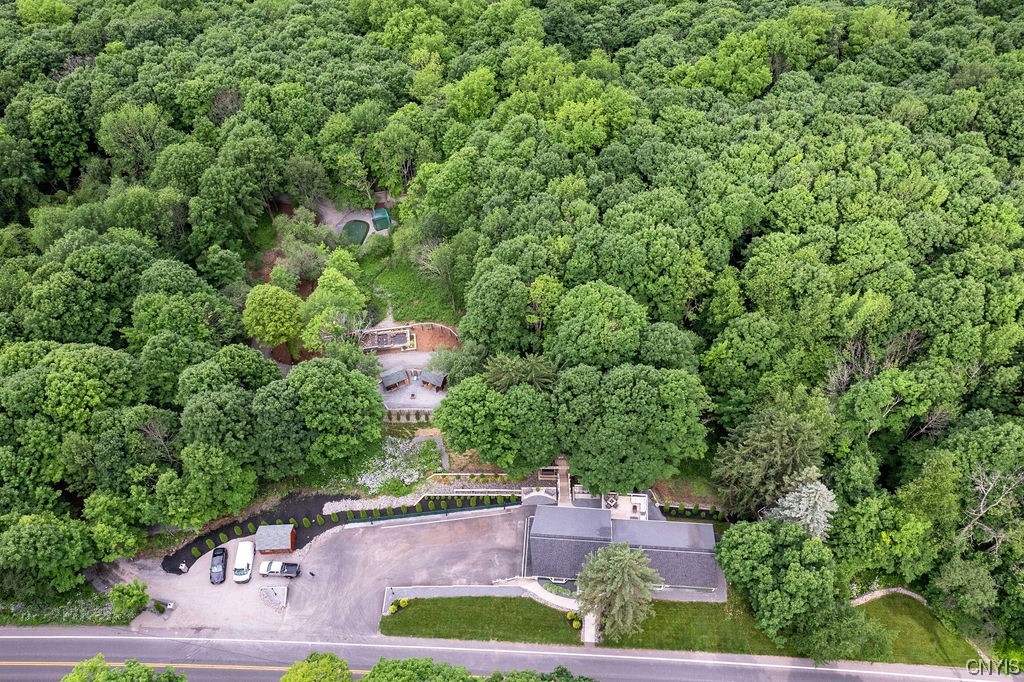 1399 Berry Road Fabius, NY 13084 - Photo 4 of 49 Wait until you see what lies beneath the canopy!