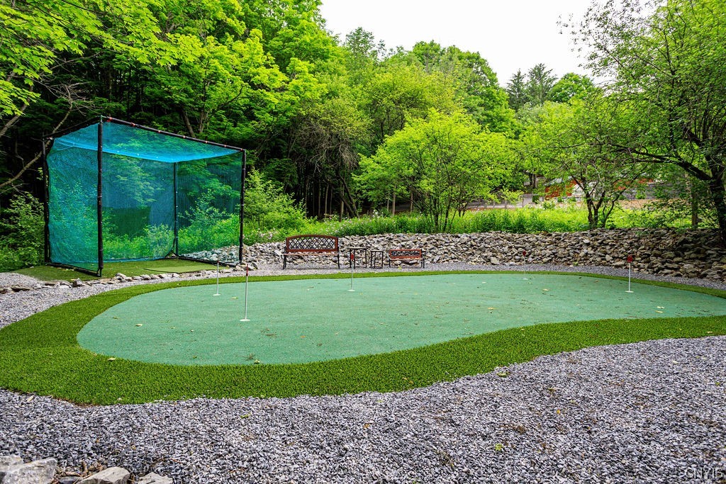 1399 Berry Road Fabius, NY 13084 - Photo 41 of 49 Putting green and driving cage.