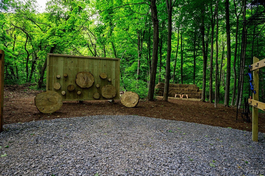 1399 Berry Road Fabius, NY 13084 - Photo 46 of 49 Axe/knife throwing to the left, and archery to the