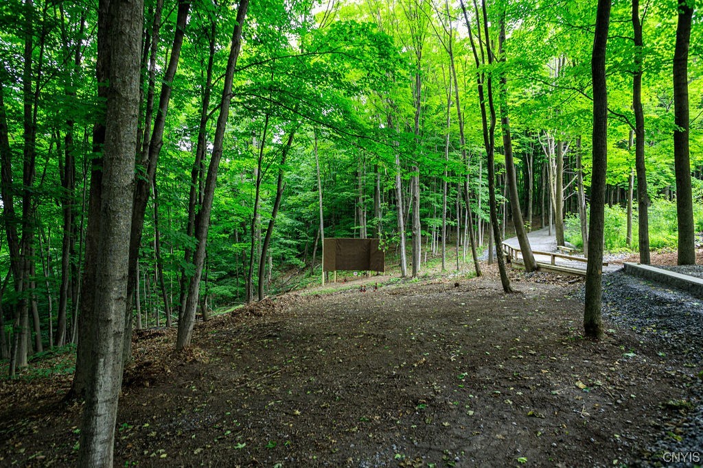 1399 Berry Road Fabius, NY 13084 - Photo 47 of 49 Shooting range.
