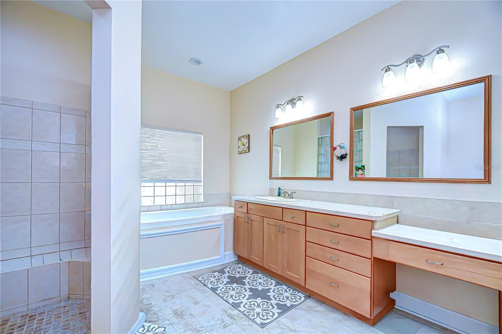4036 Moores Lake Road Dover, FL 33527 - Photo 12 of 18 a spacious bathroom with a granite countertop sink a mirror and a bathtub