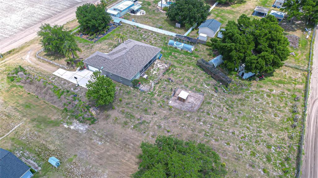 4036 Moores Lake Road Dover, FL 33527 - Photo 2 of 18 a view of a backyard with plants and large trees