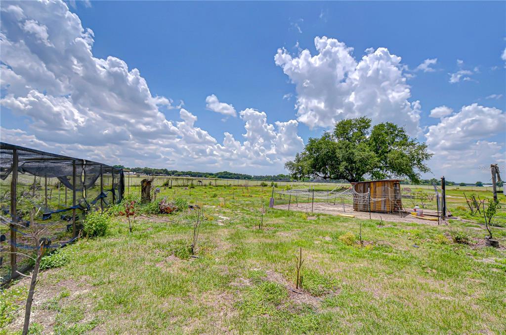 4036 Moores Lake Road Dover, FL 33527 - Photo 4 of 18 a view of a big yard