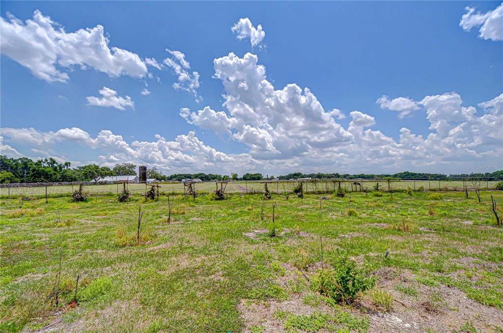 4036 Moores Lake Road Dover, FL 33527 - Photo 5 of 18 a view of a lake