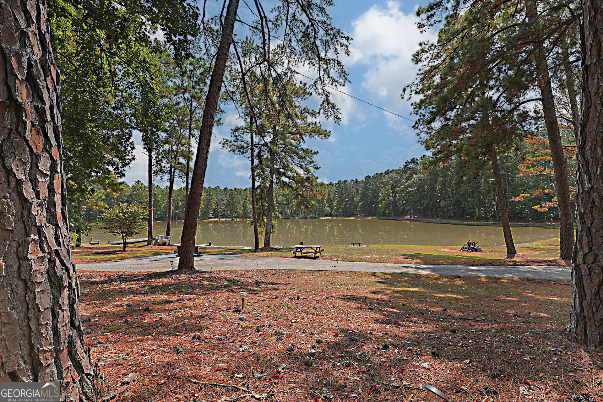 994 Highway 315 Fortson, GA 31808 - Photo 4 of 46 a view of a yard with swimming pool