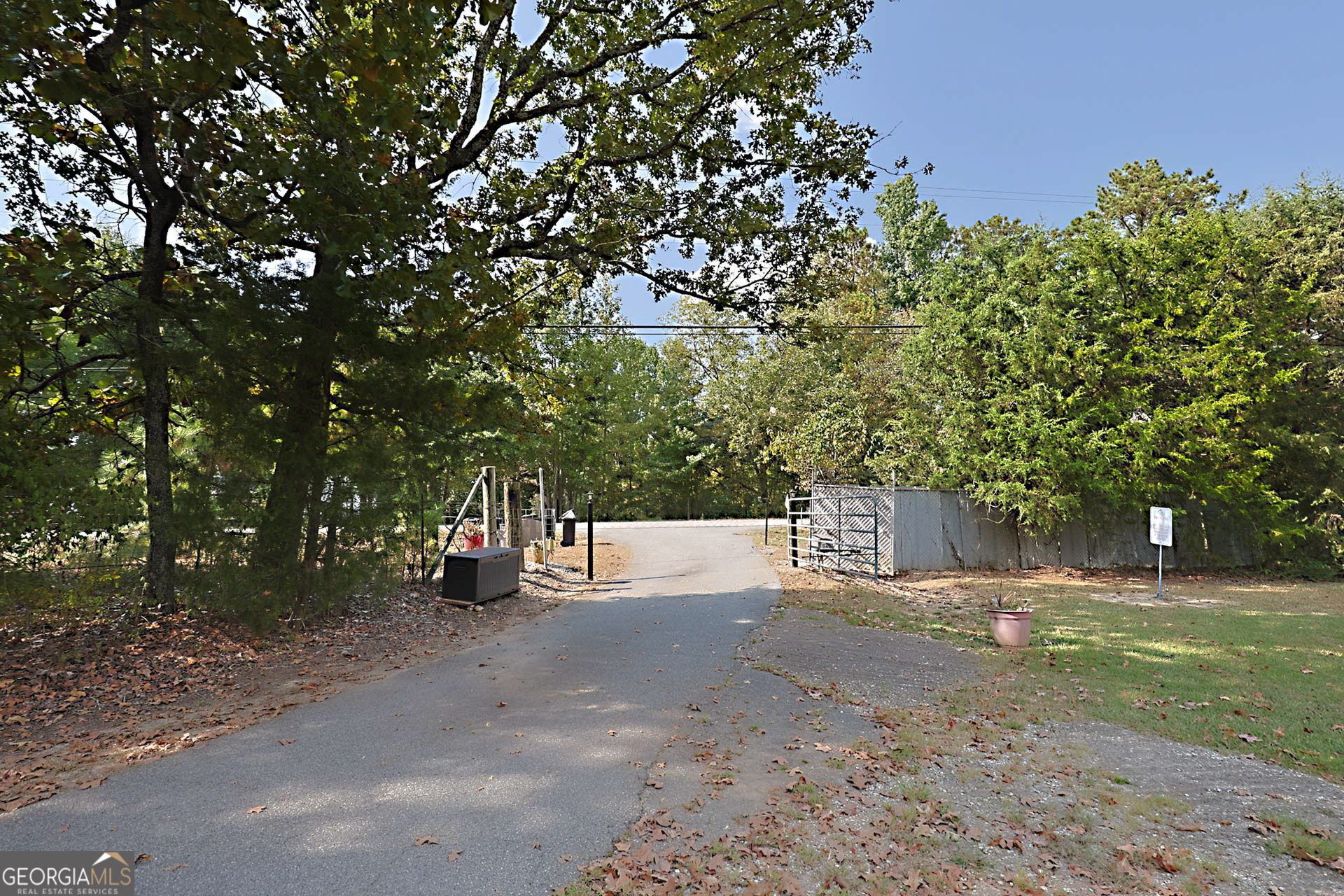 994 Highway 315 Fortson, GA 31808 - Photo 45 of 46 a view of a forest with trees