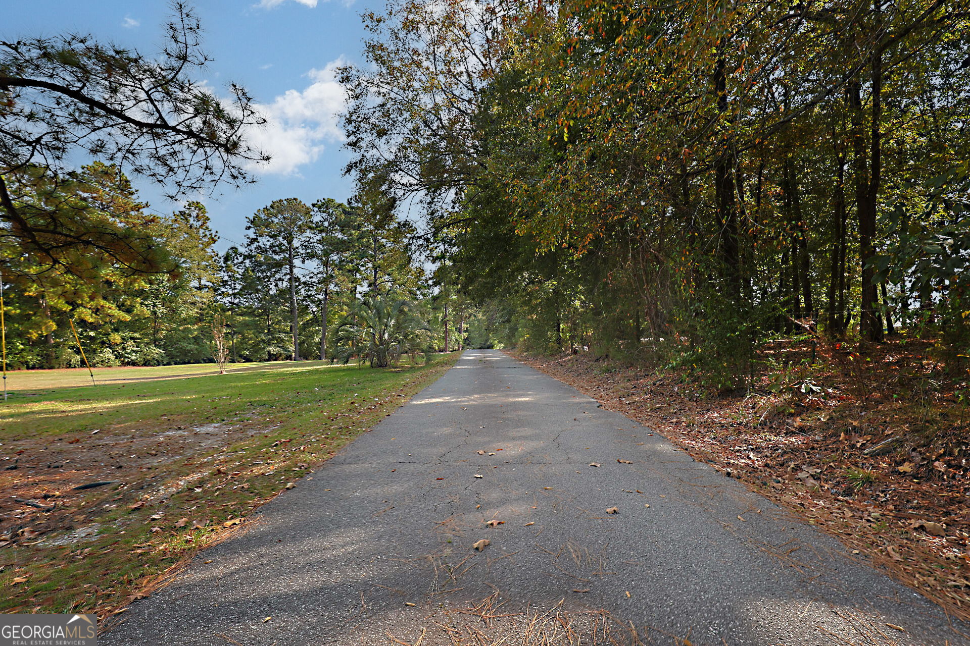 994 Highway 315 Fortson, GA 31808 - Photo 46 of 46 a view of a yard with large trees