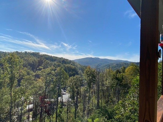 322 Raccoon Ridge Road Gatlinburg, TN 37738 - Photo 12 of 43 Gallery Image 12