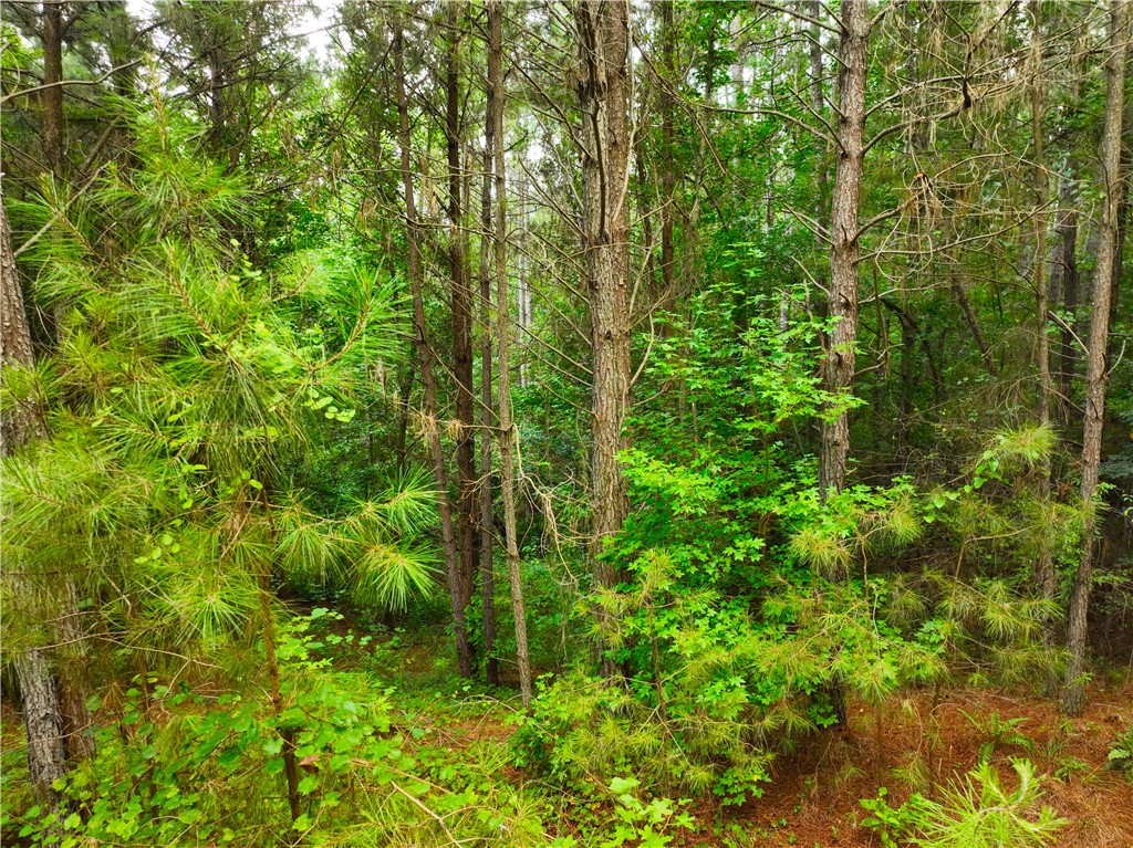 162 Sarah Simpson Road Iva, SC 29655 - Photo 14 of 21 Gallery Image 14