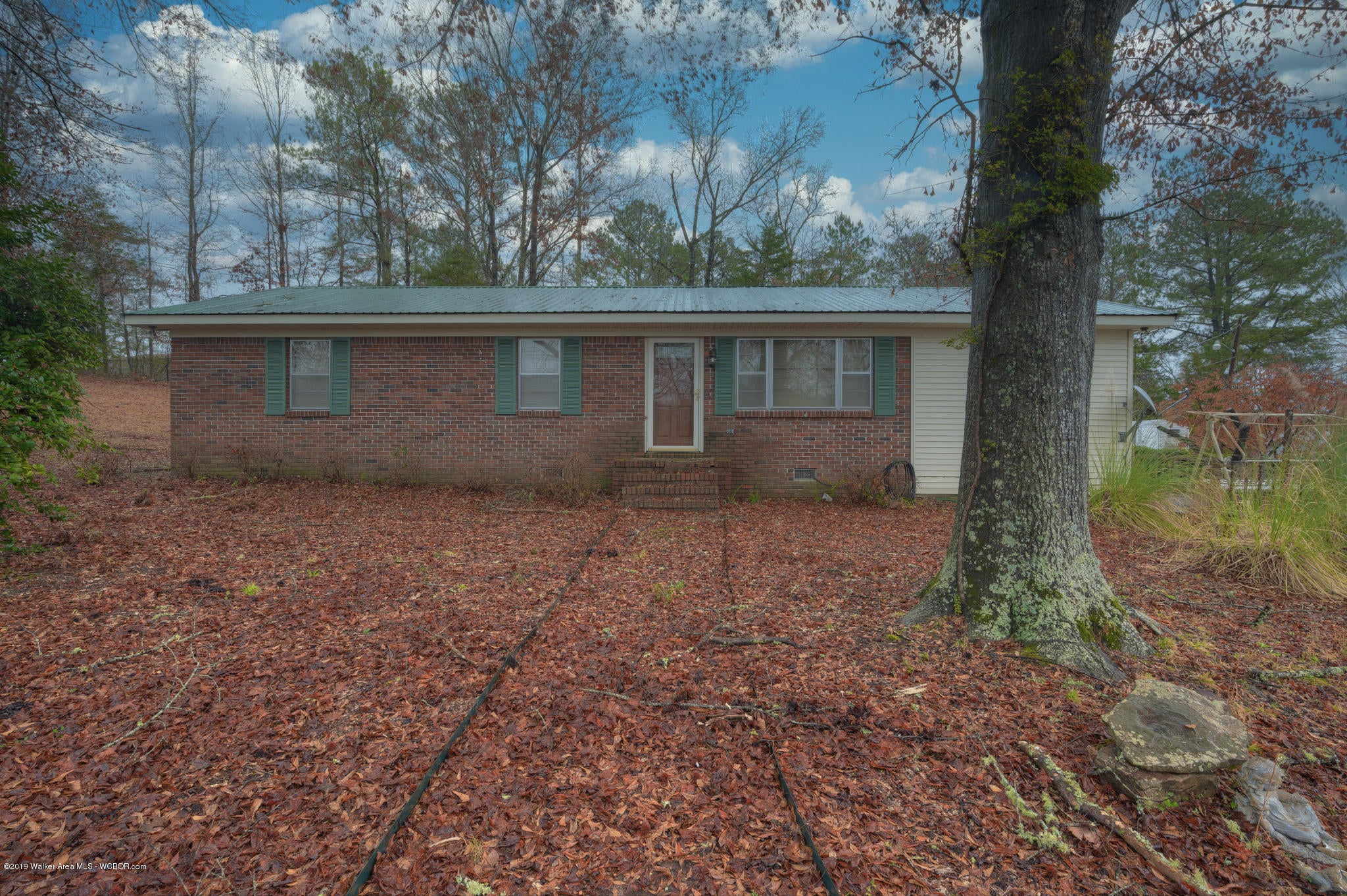 2744 Dogtown Road Carbon Hill, AL 35549 - Photo 1 of 20 Gallery Image 1