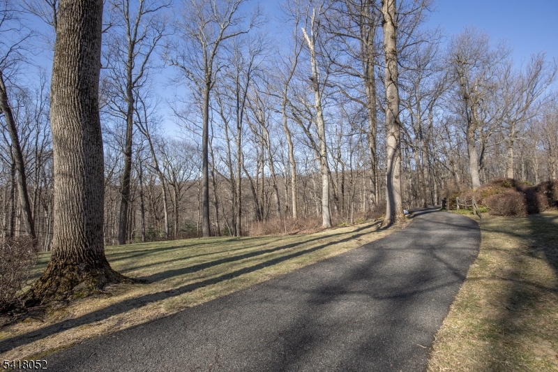 131 Post Kunhardt Road Bernardsville, NJ 07924 - Photo 9 of 25