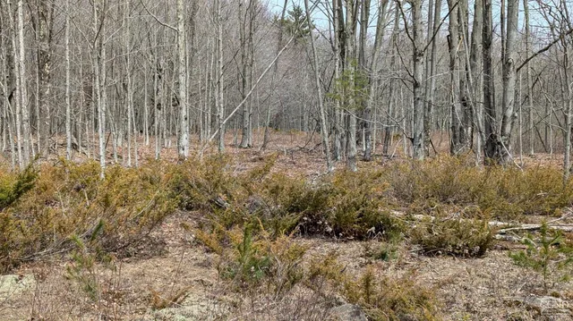 $170,000 | 75 Windy Lane, Jewett, NY 12444