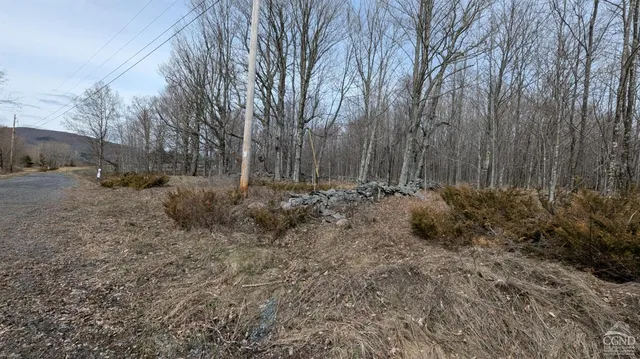 $170,000 | 75 Windy Lane, Jewett, NY 12444