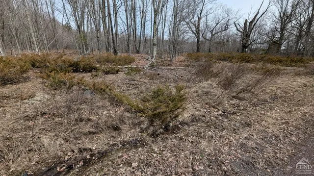 $170,000 | 75 Windy Lane, Jewett, NY 12444