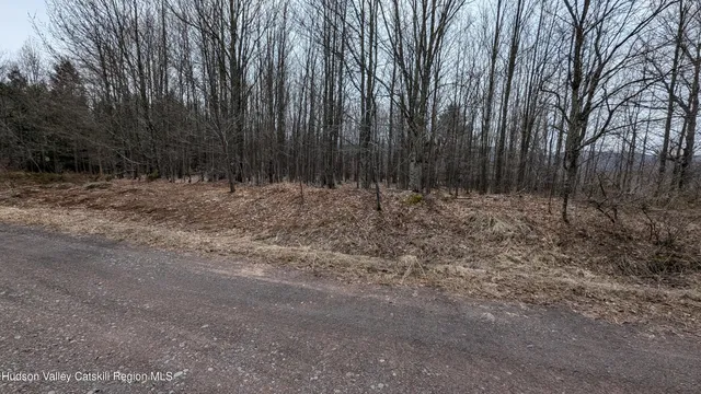 $170,000 | 75 Windy Lane, Jewett, NY 12444