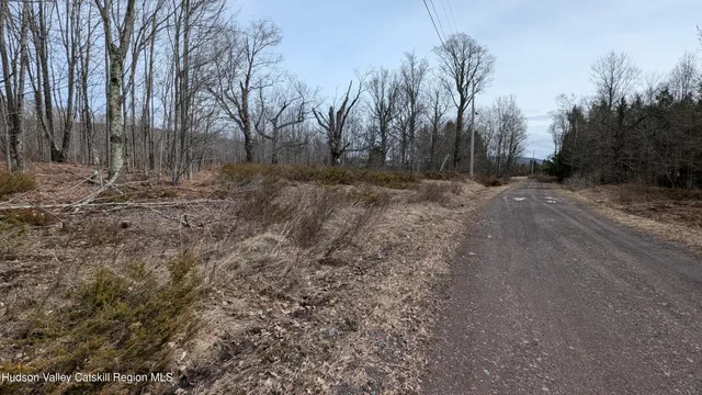 $170,000 | 75 Windy Lane, Jewett, NY 12444