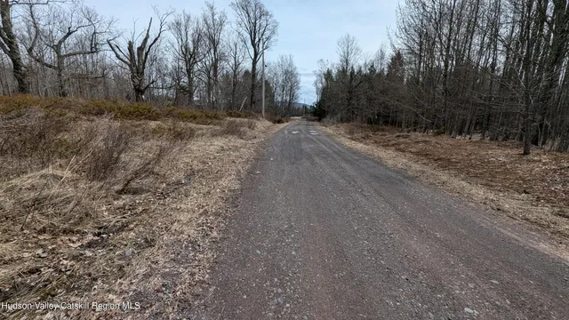 $170,000 | 75 Windy Lane, Jewett, NY 12444