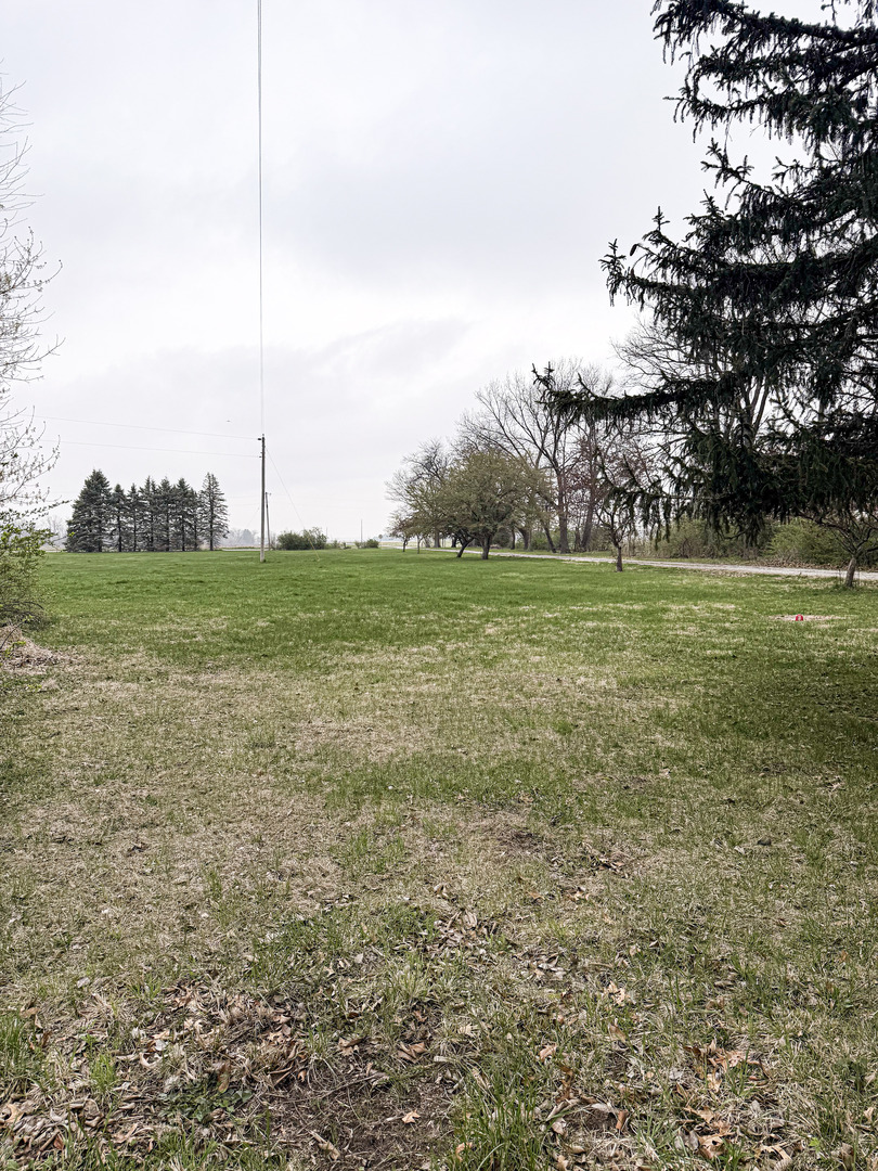1599 East 2700 North Road Clifton, IL 60927 - Photo 5 of 26 a view of a grassy field with trees