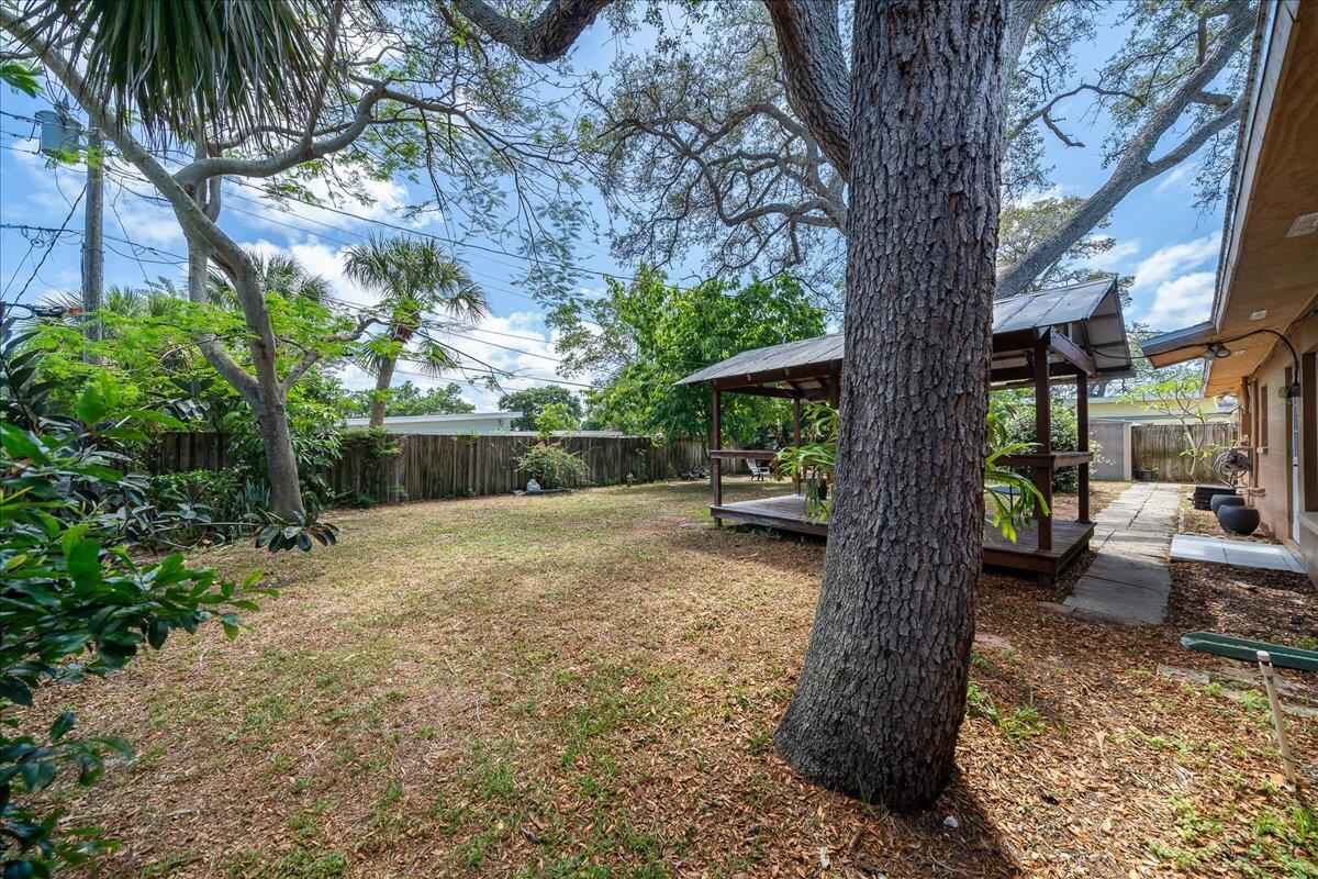 441 Sharon Drive Melbourne, FL 32935 - Photo 23 of 25 a view of a tree in the backyard of a house