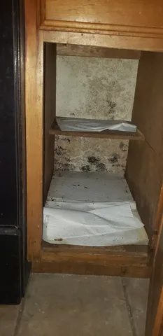 a close view of sink and cabinets