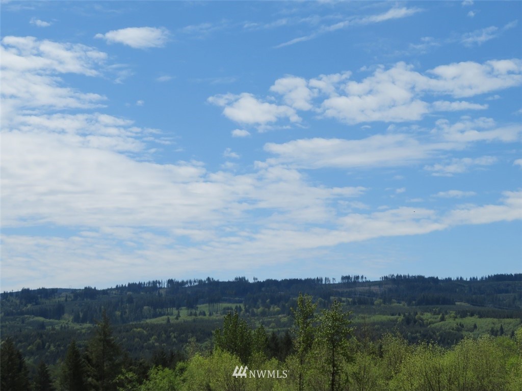 2 State Route 506 Winlock, WA 98596 - Photo 14 of 25