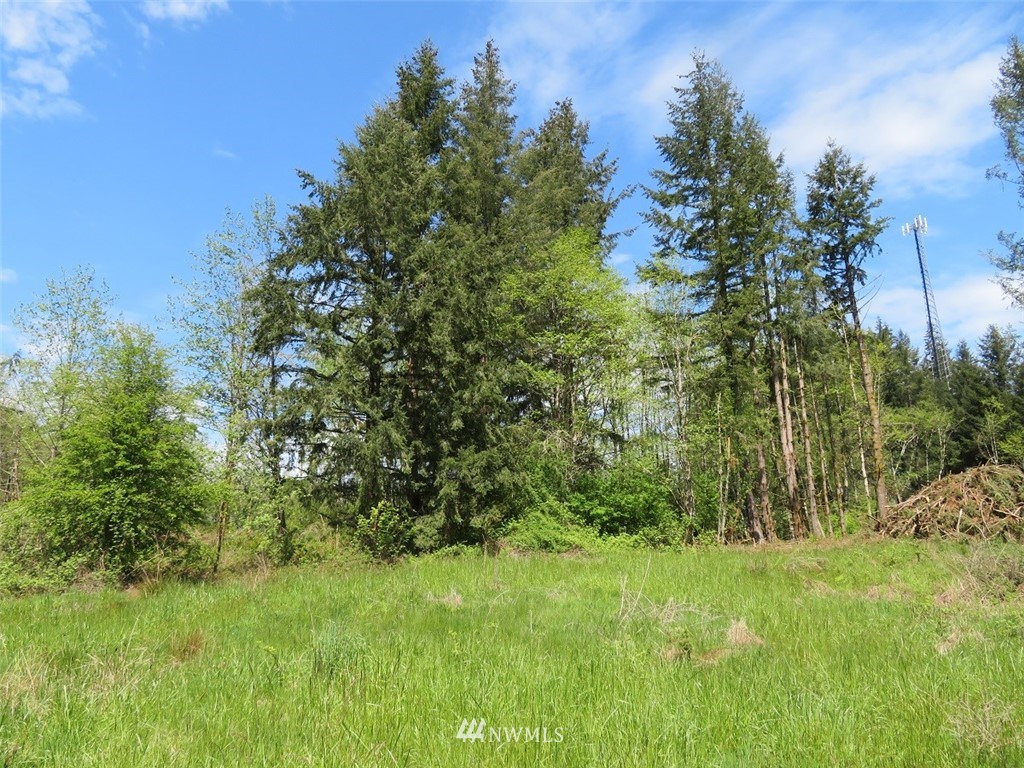 2 State Route 506 Winlock, WA 98596 - Photo 22 of 25