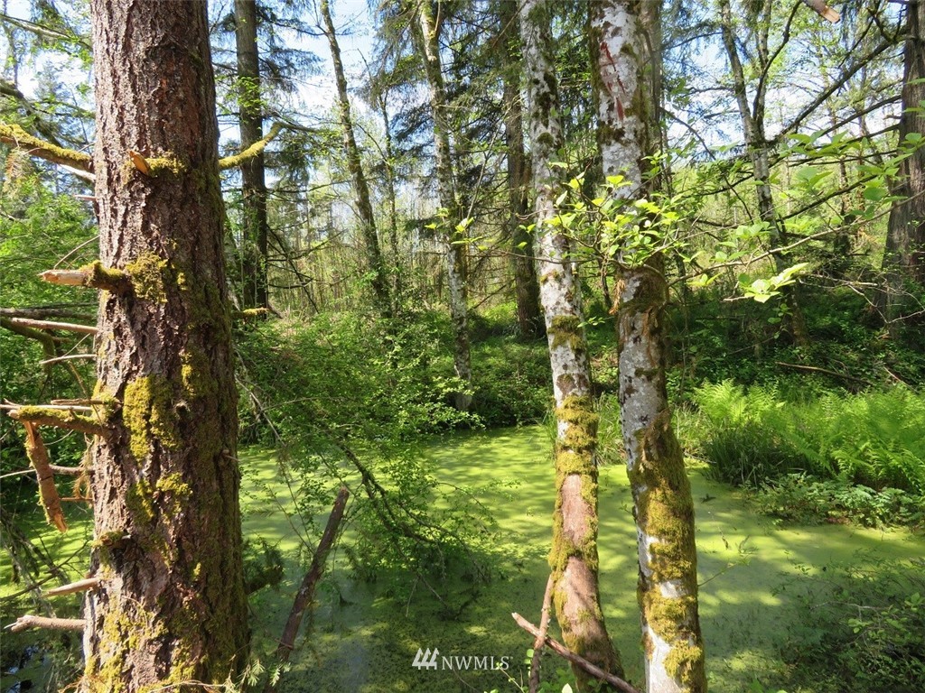 2 State Route 506 Winlock, WA 98596 - Photo 8 of 25