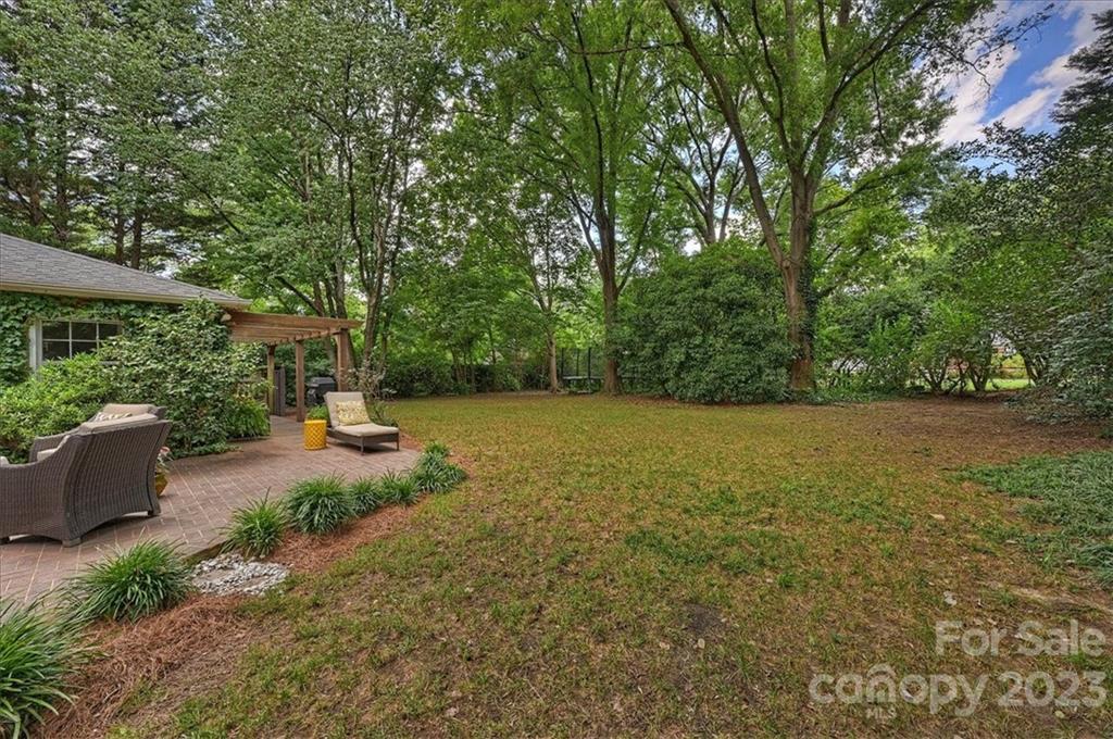 3100 Clarendon Road Charlotte, NC 28211 - Photo 44 of 48 a view of backyard with green space