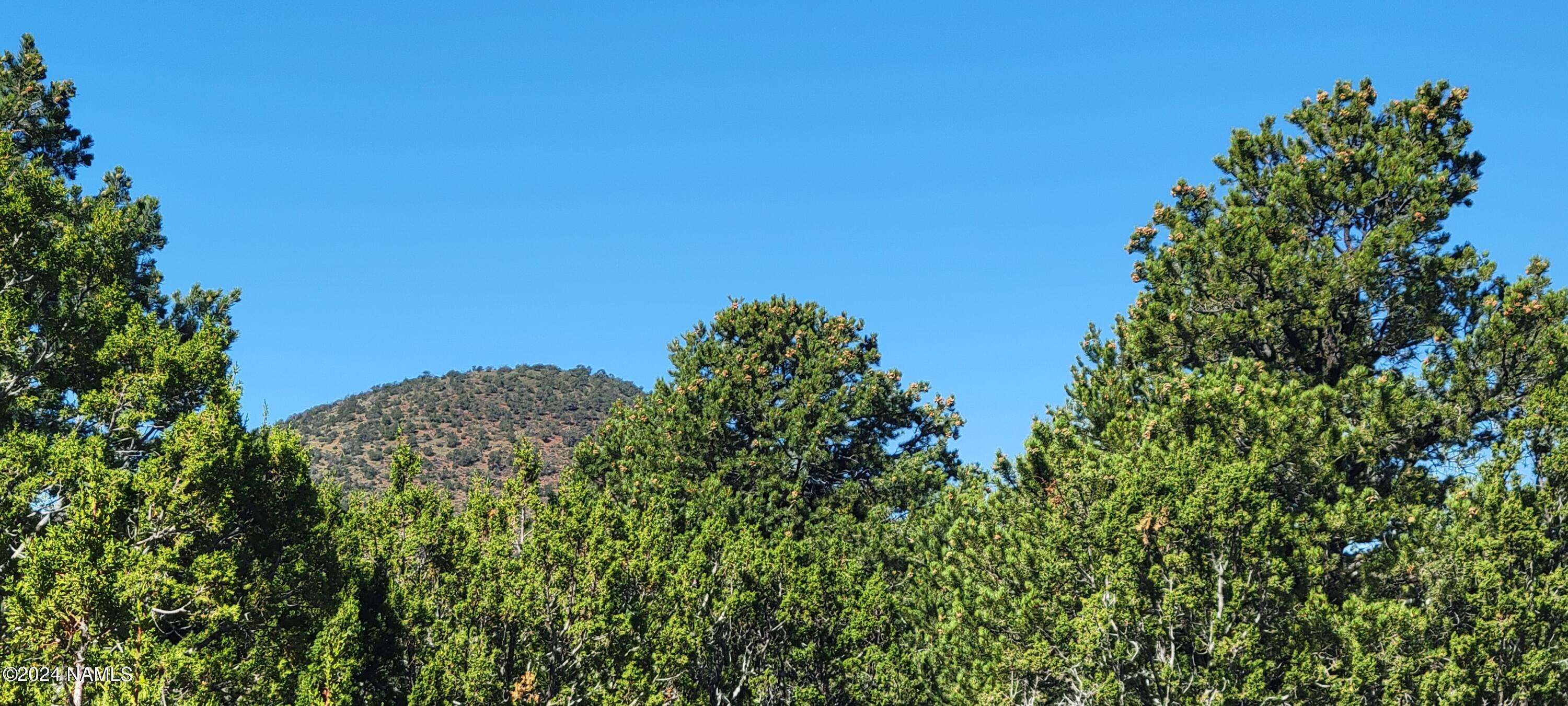 2394 East Fir Road Williams, AZ 86046 - Photo 3 of 11 a view of a garden