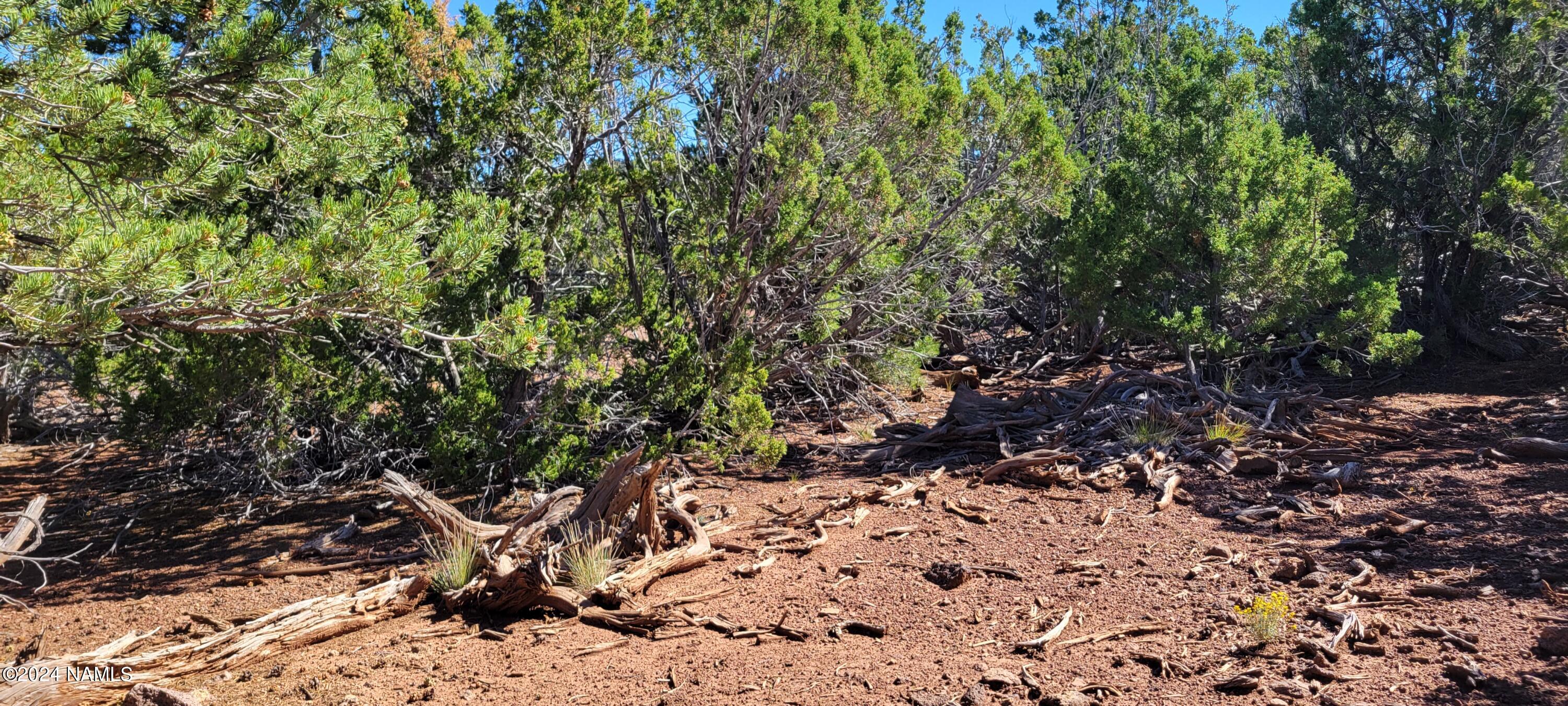 2394 East Fir Road Williams, AZ 86046 - Photo 9 of 11 a view of an outdoor space