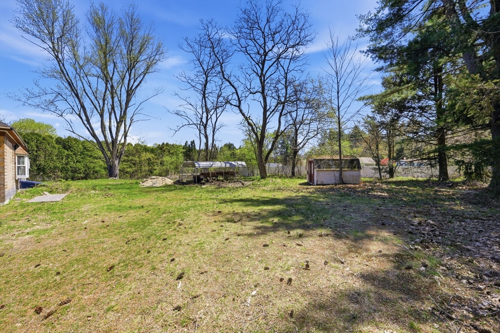 1024 Westhampton Road Northampton, MA 01062 - Photo 20 of 23 a view of yard with trees