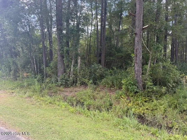 $219,000 | 0 Near 2625 Chauncey Town Rd Lake, Lake Waccamaw, NC 28450