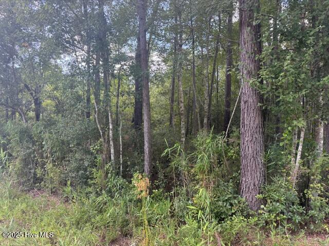 2539 Chauncey Town Road Lake Waccamaw, NC 28450 - Photo 2 of 8 IMG_3651