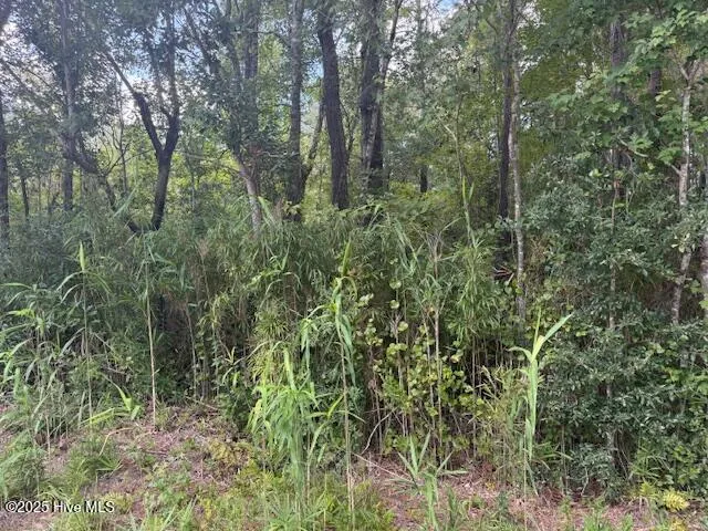 $219,000 | 0 Near 2625 Chauncey Town Rd Lake, Lake Waccamaw, NC 28450