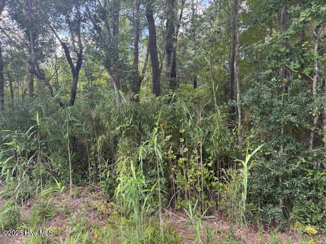 2539 Chauncey Town Road Lake Waccamaw, NC 28450 - Photo 3 of 8 IMG_3652