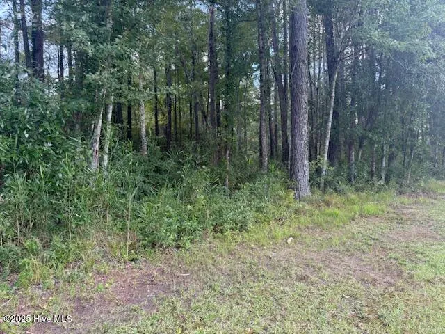 $219,000 | 0 Near 2625 Chauncey Town Rd Lake, Lake Waccamaw, NC 28450